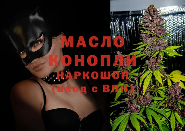 дживик Снежногорск