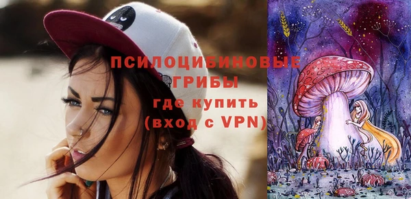 apvp Аркадак