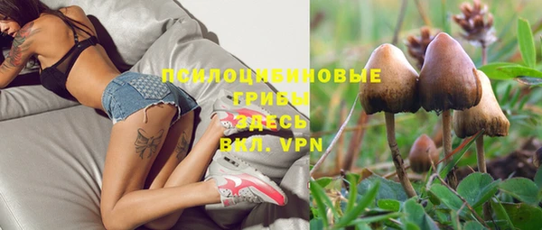 Альфа ПВП Армянск