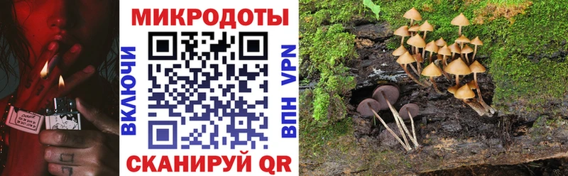 Псилоцибиновые грибы Psilocybe  Котельниково 